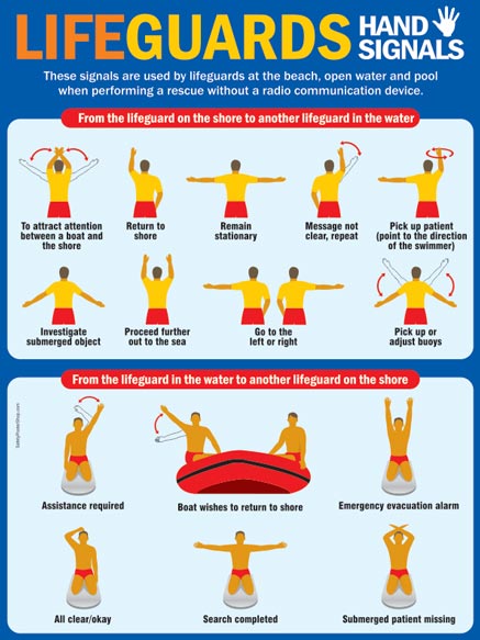 lifeguard whistle signals