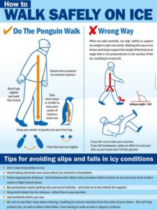 penguin walk | Safety Poster Shop