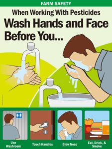 Wash Hands and Face | Safety Poster Shop